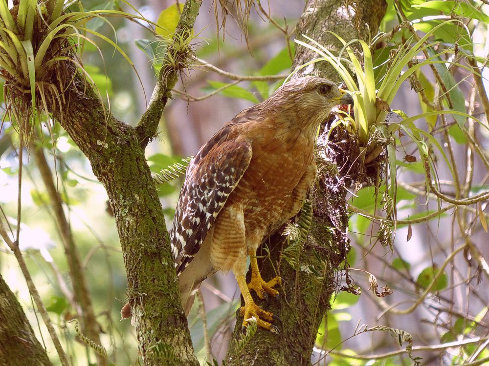 Click to See Next Image